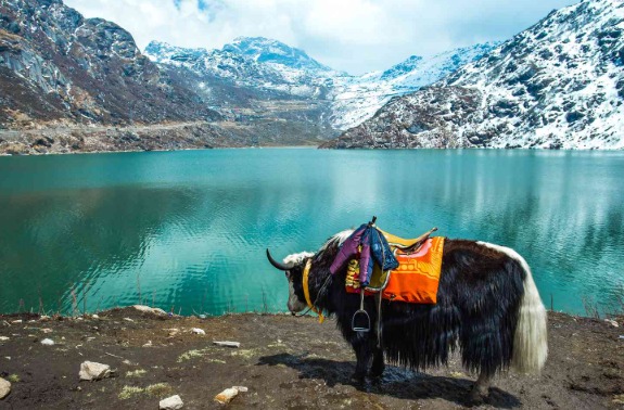 Sikkim