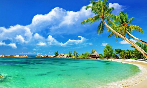 goa
